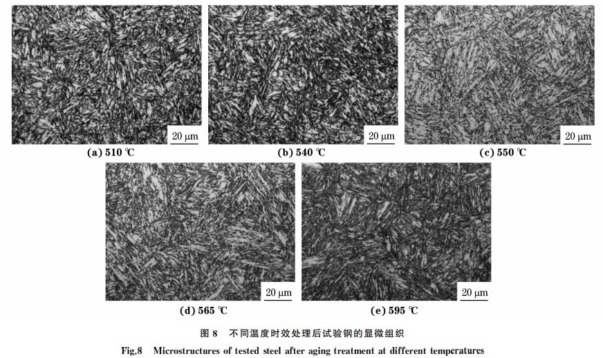 图８ 不同温度时效处理后试验钢的显微组织