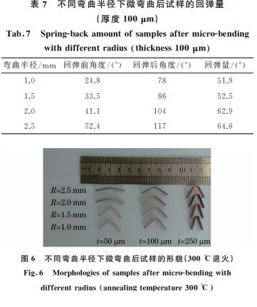 表７ 不同弯曲半径下微弯曲后试样的回弹量